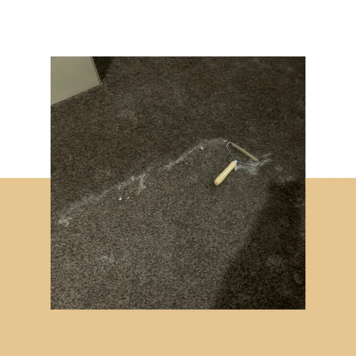Pet Hair Remover